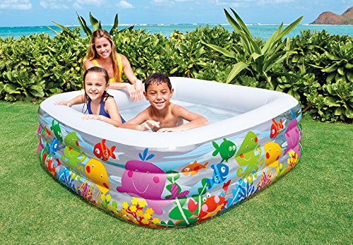 INTEX Swim Center Clear View Aquarium Pool ( 62.5" L x 62.5" W X 19.5" H )